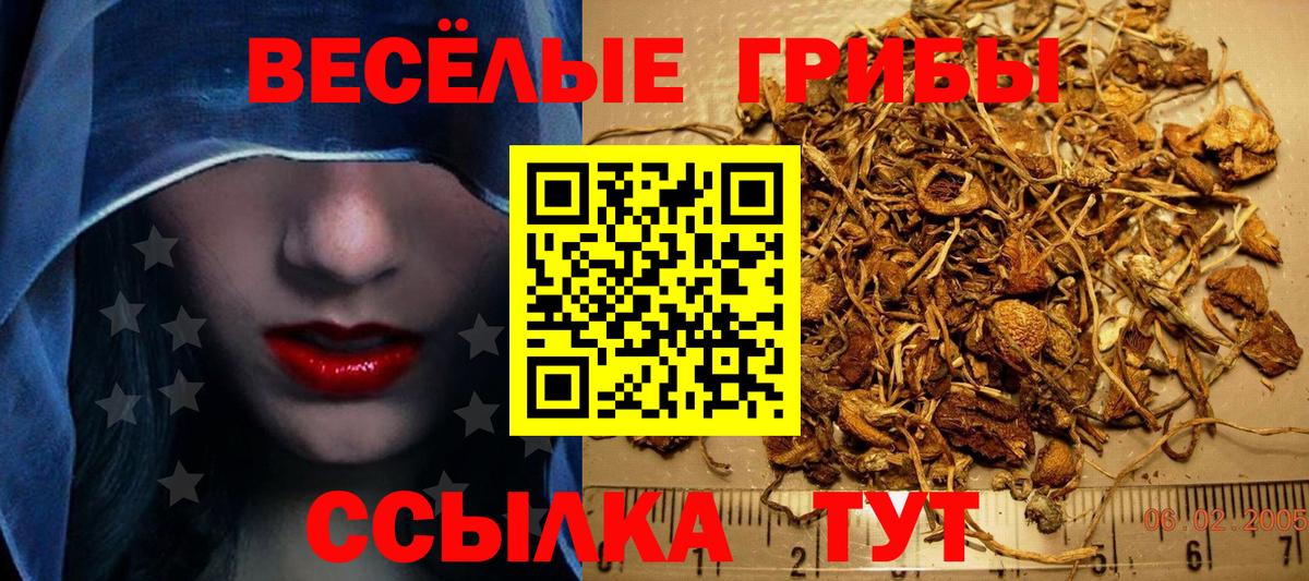 Галлюциногенные грибы Psilocybine cubensis Евпатория